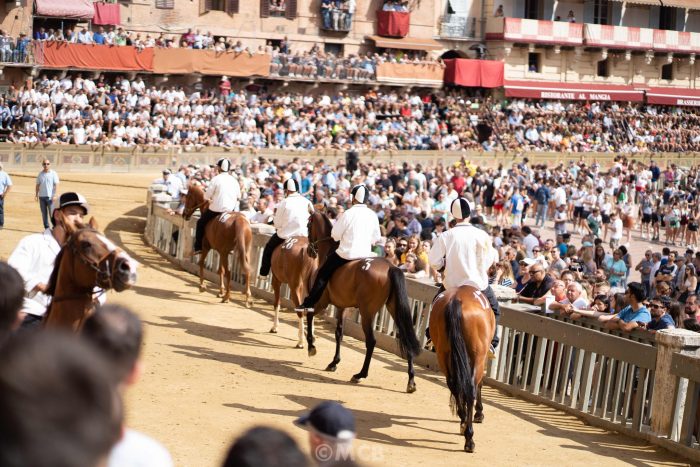 Palio 16 agosto 2022, ecco i cavalli ammessi alla Tratta