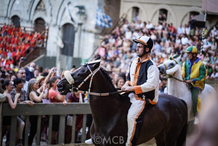 Il Giorno dopo il Palio, Bellocchio: "La mossa? Giudizio insindacabile del mossiere"