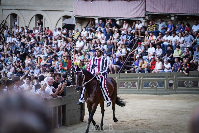 Schietta nella stalla dell'Istrice, accertamenti in corso