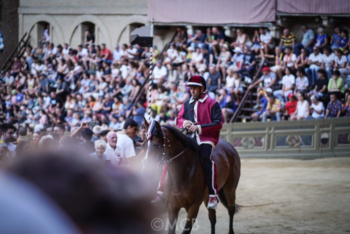 Palio 2 luglio: la Civetta esentata dalla quarta prova