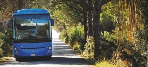 Dal 15 giugno partono i Mare Bus Tiemme da Siena, Colle e Poggibonsi