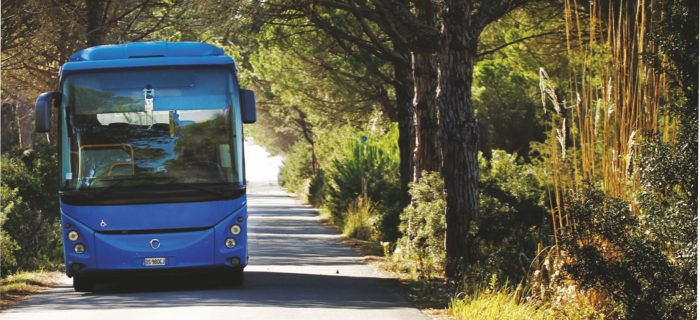 Dal 15 giugno partono i Mare Bus Tiemme da Siena, Colle e Poggibonsi