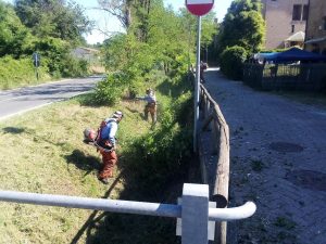 Consorzio di Bonifica 6 Toscana Sud al lavoro sul torrente Sorra
