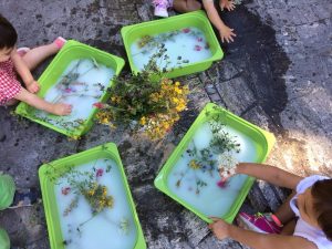 Centri estivi per bambini e ragazzi a Montepulciano dal 4 luglio al 5 agosto