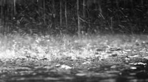 Meteo: codice giallo per pioggia e temporali per domani