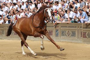 Le emozioni della Tratta e dell'assegnazione: la gallery