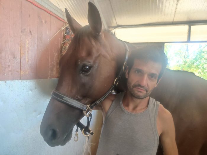 Verso il Palio di agosto, Carburo: "Tale e Quale &egrave; pronto, Schietta dovrebbe farcela, Vankook resta in scuderia"