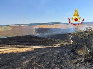 Vasto incendio divora i campi di grano, vigili del fuoco di Siena in azione