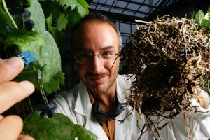 "Plant revolution", un excursus/spettacolo sull’incanto del mondo vegetale alla Certosa di Pontignano