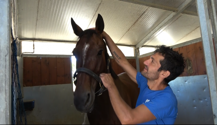 Carboni: "Montare Vankook sarebbe stato un sogno, il cavallo stava bene"