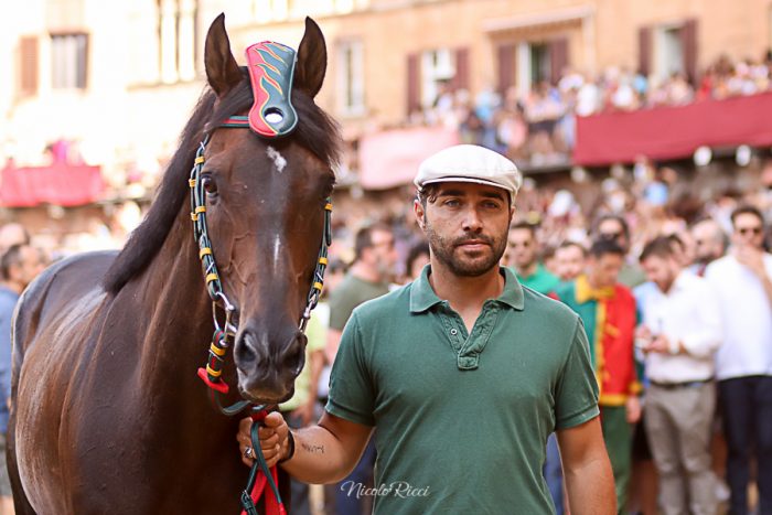 Verso il Palio dell'Assunta: Zio Frac e Viso d'Angelo saranno alle previsite