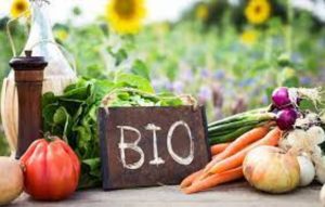 Colture biologiche, la Toscana al vertice nazionale