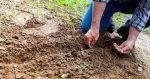 La Regione Toscana apre il bando da oltre 28 milioni di euro per i giovani agricoltori