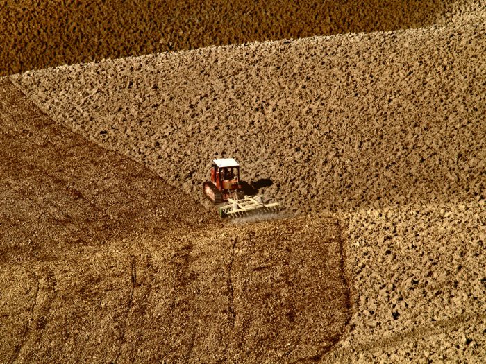 Coldiretti Siena: "Senza pioggia grano a rischio in provincia di Siena"