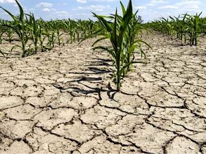 Toscana: siccità, settimana prossima valutazione per richiesta stato di emergenza nazionale