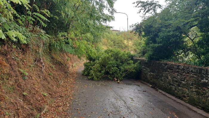 Maltempo: alberi caduti, danni ai tetti e traffico in tilt