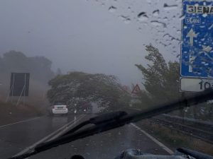 Maltempo a Siena, pioggia e vento: albero abbattuto blocca la superstrada