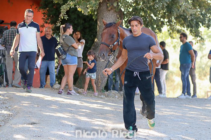 Palio, Scompiglio: "Mi alleno, sono sereno e aspetto l'estrazione per decidere le strategie"