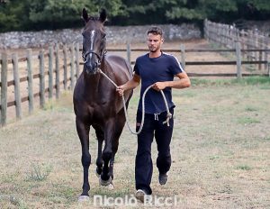 Turbine al Ceppo: "Chi mi sceglie sa che sono uno che tira a vincere e ci prova sempre"