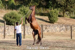 Secondo giorno di previsite, la gallery del pomeriggio