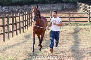 Previsite: Tale e Quale e Schietta chiudono la seconda giornata