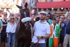 La Selva domani "A Cena con l'Emma Villas"