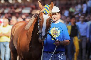 Contrada della Tartuca, giovedì 19 gennaio assemblea generale