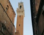 Bianchini: "La manutenzione della Torre del Mangia è tra le priorità dell'amministrazione"
