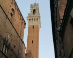 Torre del Mangia, clima teso: stato di agitazione dei lavoratori di biglietteria e sorveglianza