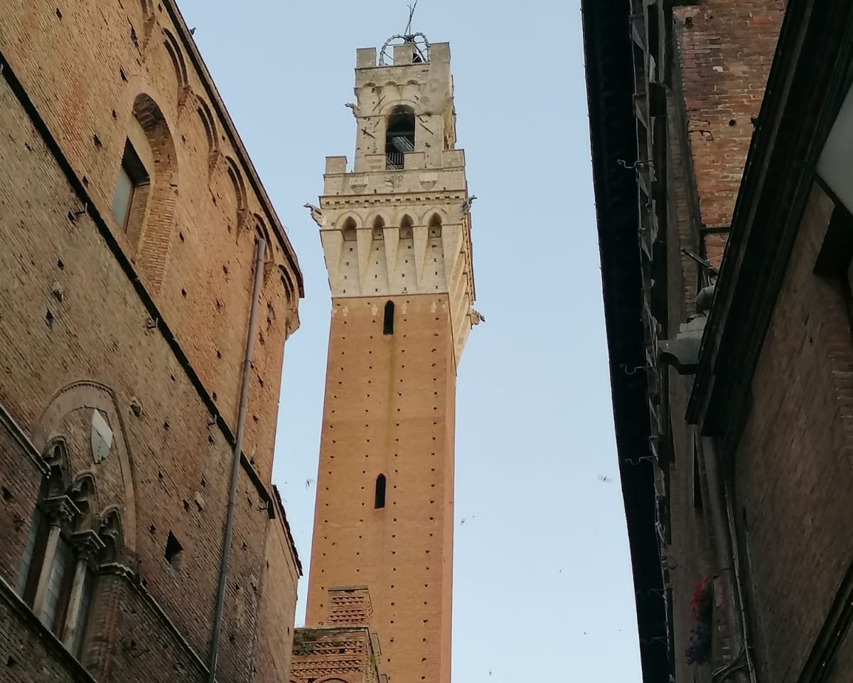 Torre del Mangia, clima teso: stato di agitazione dei lavoratori di biglietteria e sorveglianza