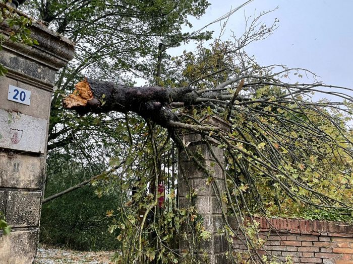 Maltempo: alberi caduti nella zona di Sant'Andrea