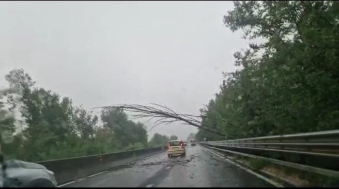 Maltempo: albero pericolante in tangenziale, traffico bloccato
