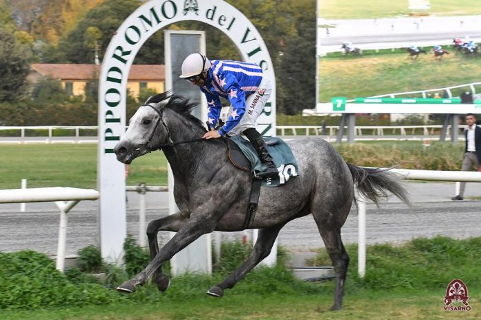 Atzeni Team vince tutto anche al Caprilli di Livorno