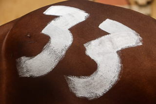 giro della vittoria Leocorno palio agosto 2022 (37)