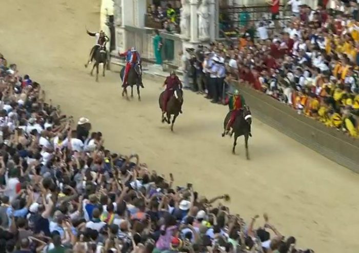 Palio -Proposta di legge sul benessere dei cavalli: "no frusta e speroni e un animalista in commissione"