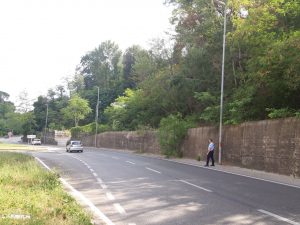 Piante pericolanti in Pescaia, traffico deviato