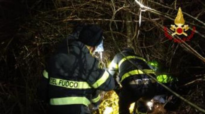 Si perde nel bosco cercando i funghi, ritrovata dai vigili del fuoco