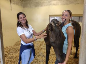 Palio: Zentile torna a casa, marted&igrave; le dimissioni del cavallo dalla clinica del Ceppo