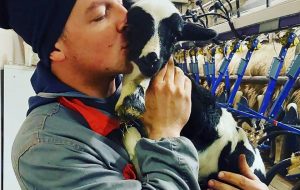 Uccise 28enne guidando contromano e ubriaco su Autopalio: 3 anni e 6 mesi di detenzione domiciliare