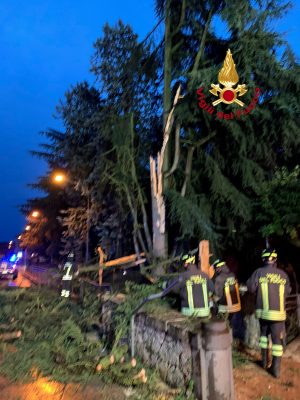 Maltempo: rami di un grande albero cadono nel cortile della scuola a Sarteano