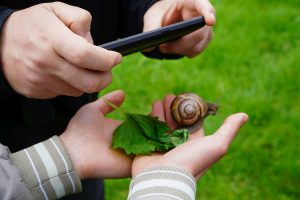 Nasce lo "Sportello della Biodiversit&agrave;" all&rsquo;Accademia dei Fisiocritici