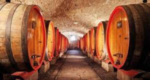 Enoturismo, acquisti in cantina e degustazioni sono un must nel senese