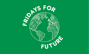 Fridays For Future, giovani in piazza domani per lo sciopero globale per il clima