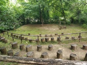 Torna "Urban Nature, la Festa della Natura in citt&agrave;"