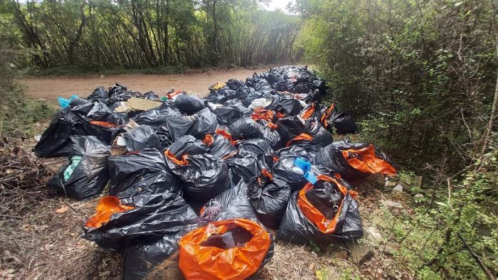 Europa Verde Siena: "Abbandono a Pian del Lago &egrave; un atteggiamento criminale"