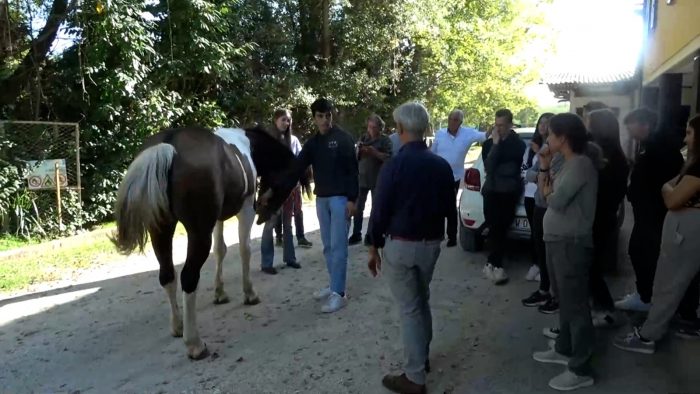 Istituto Agrario di Siena, a lezione con i cavalli