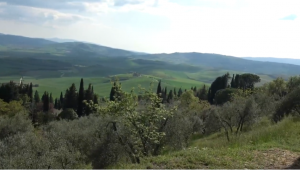 Patrimonio naturalistico, approvato Documento operativo 2026: oltre 2,6 mln per interventi