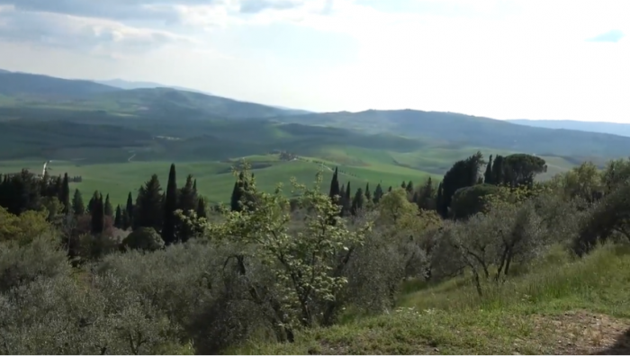 Patrimonio naturalistico, approvato Documento operativo 2026: oltre 2,6 mln per interventi