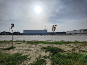 Il centro di smistamento Amazon a Isola d'Arbia &egrave; completato ma ancora deserto