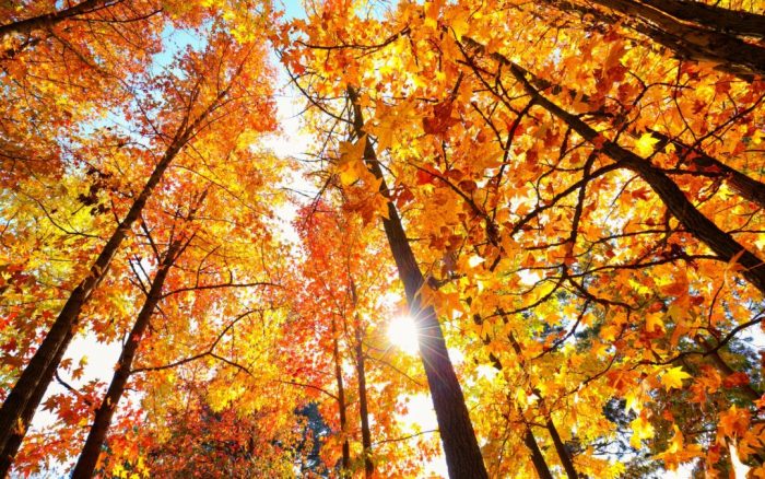 Meteo: ottobre comincia all'insegna del bel tempo